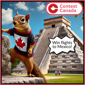 Win plane tickets to Mexico.