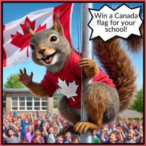 Win a Canada flag