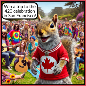 Win a trip to San Francisco!