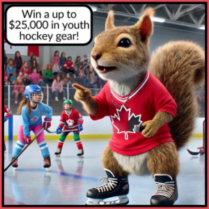 Win hockey gear for your team!